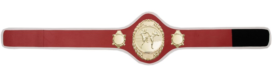 THAI BOXING CHAMPIONSHIP BELT-PRO286/G/TBOG-10+ COLOURS